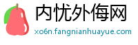 内忧外侮网